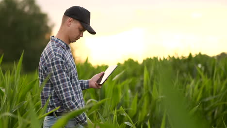 Agrónomo-Agricultor-Con-Tableta-En-Campo-Vacío-Al-Atardecer-Hombre-Serio-Y-Confiado-Que-Utiliza-Tecnología-Moderna-En-La-Planificación-Y-Preparación-De-La-Producción-Agrícola